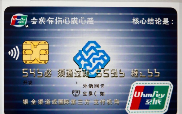 Visa信用卡怎么在国内消费