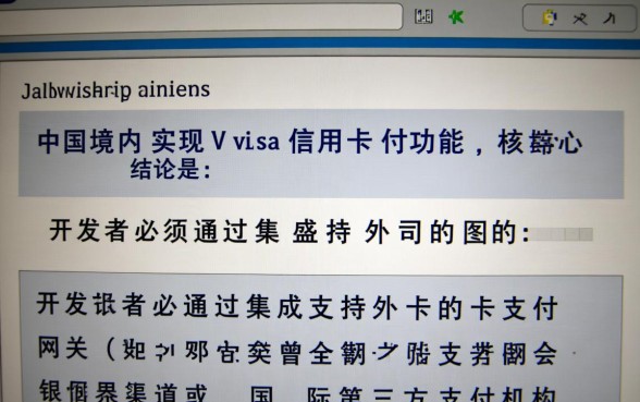 Visa信用卡怎么在国内消费