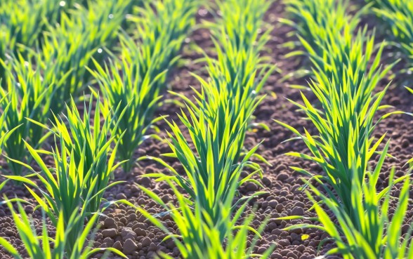 花呗分期还款和最低还款哪个好