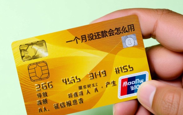 信用卡一个月没还款会怎么样