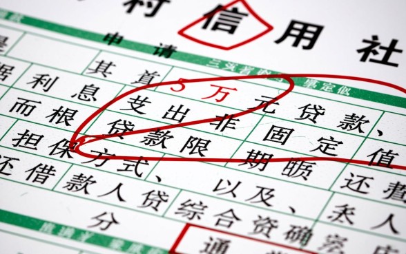 农村信用社贷款5万利息多少