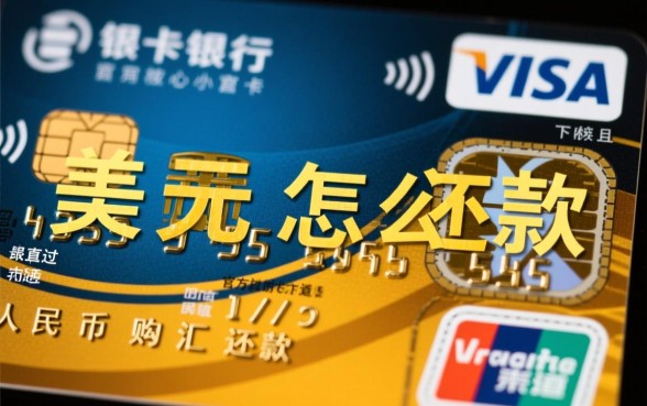 visa卡刷美元怎么还款