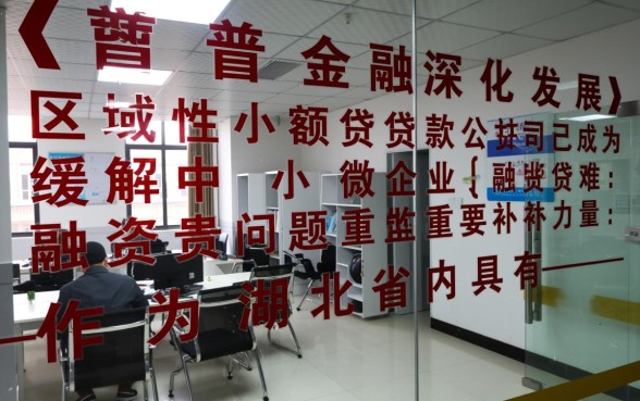 湖北长江小额贷款有限公司怎么样