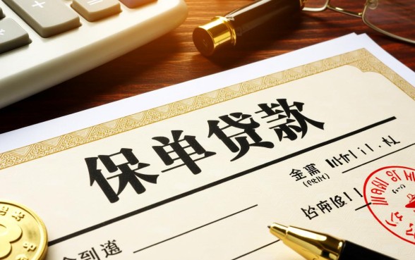 保险公司贷款需要什么手续