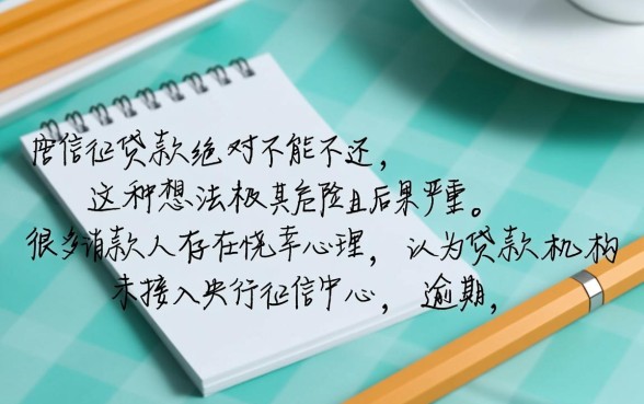 不上征信的贷款可以不还吗