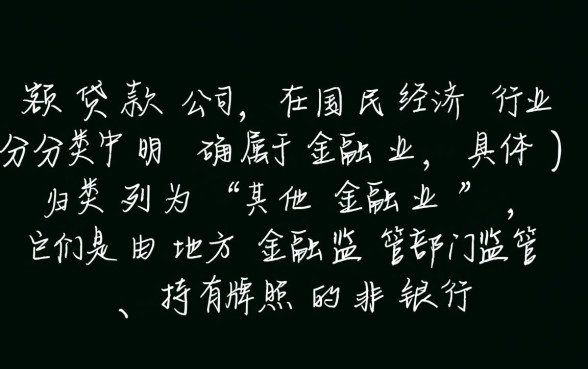 小额贷款公司属于什么行业,属于非银行金融机构吗 小额贷款公司属于什么行业