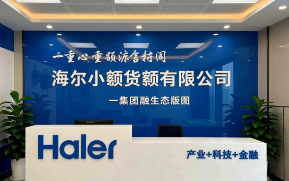 重庆海尔小额贷款有限公司正规吗