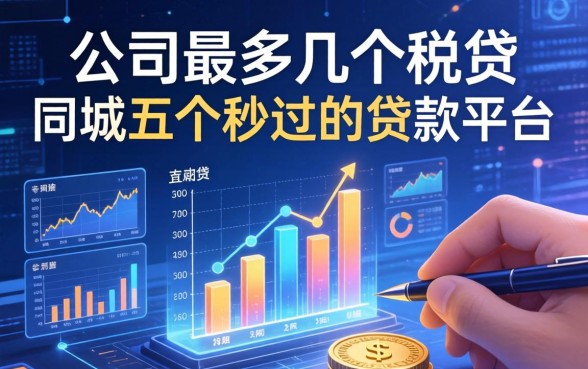 一家公司最多几个税贷，同城五个秒过的贷款平台
