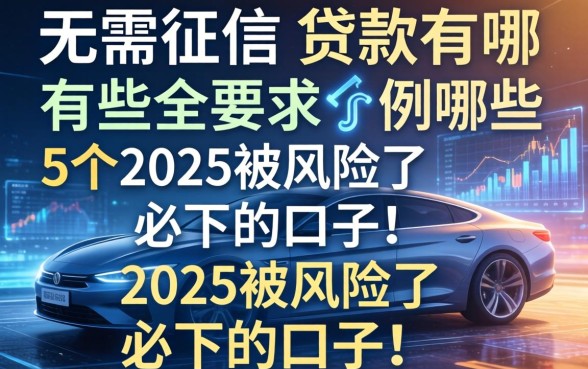 无需征信的贷款有哪些，例举5个2025被风控了必下的口子