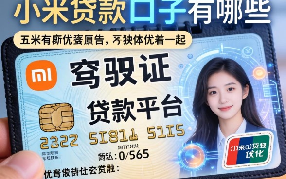 驾驶证贷款口子有哪些，总结五个小米贷款平台