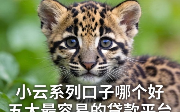 小云豹系列口子哪个好，五大最容易的贷款平台