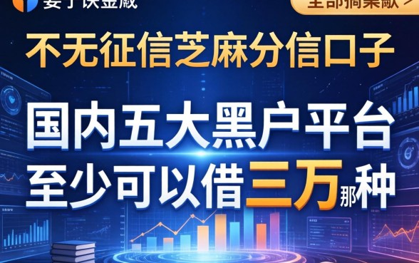 不看征信芝麻分的口子，国内五大黑户平台至少可以借三万那种