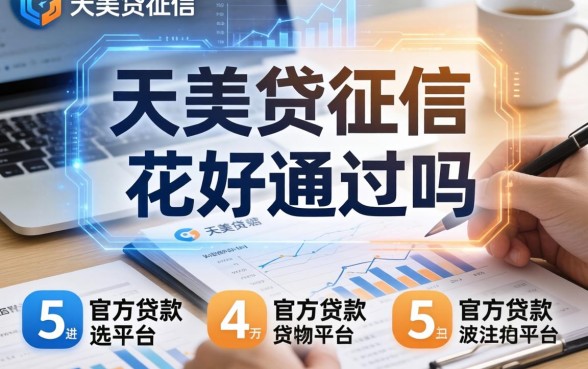 天美贷征信花好通过吗，例举5个官方贷款平台