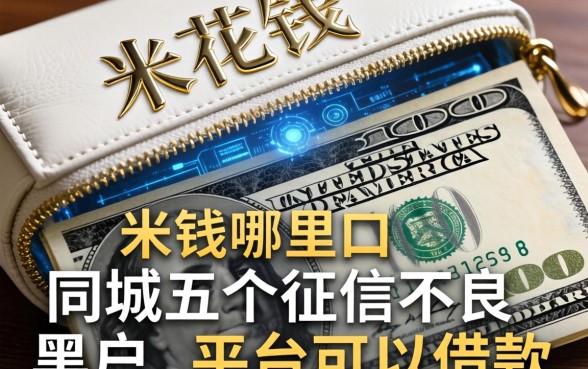 米花钱包是哪里的口子，同城五个征信不良的黑户在平台可以借款
