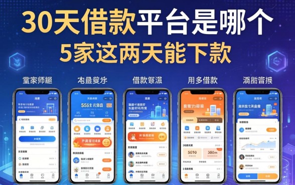 30天借款平台是哪个，阐述5家这两天能下款的软件