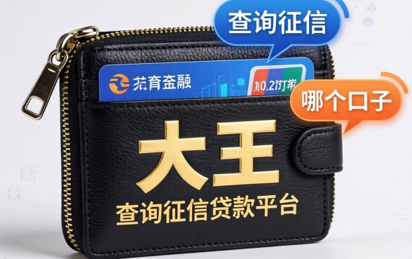 钱包大王袋是哪个口子，分享五个不查询征信的贷款平台