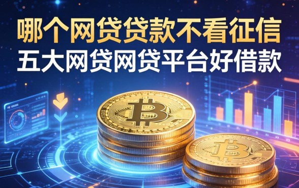 哪个网贷贷款不看征信，五大网贷网贷平台好借款