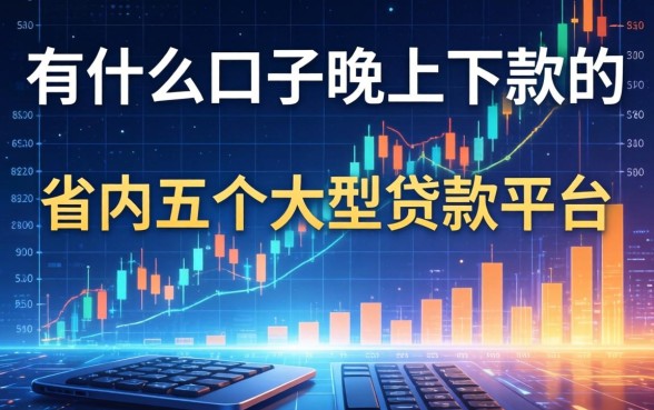有什么口子晚上下款的，省内五个大型贷款平台