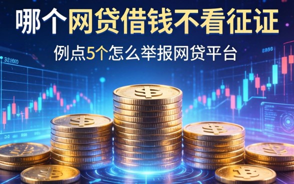 哪个网贷借钱不看征信，例举5个怎么举报网贷平台