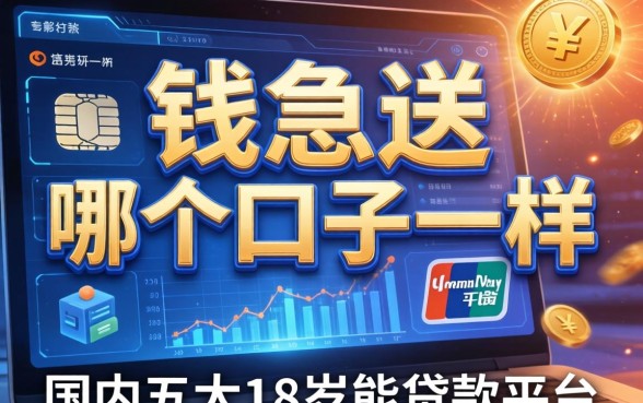 钱急送和哪个口子一样，国内五大18岁能贷款的平台