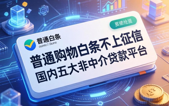 普通购物白条不上征信，国内五大非中介贷款平台