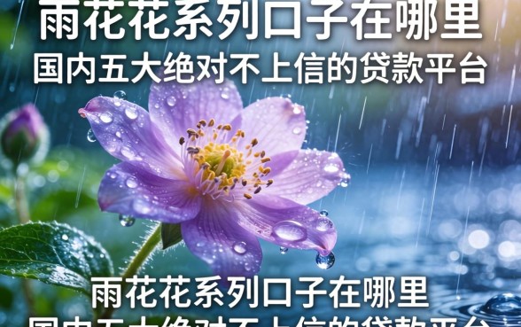 雨花花系列口子在哪里，国内五大绝对不上征信的贷款平台