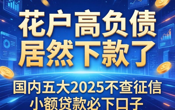 花户高负债居然下款了，国内五大2025不查征信小额贷款必下口子