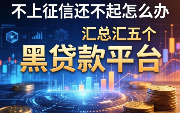 不上征信还不起怎么办，汇总五个黑贷款平台