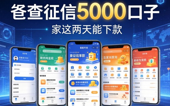 不查征信5000口子，阐述5家这两天能下款的软件