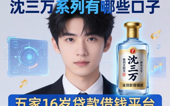 沈三万系列有哪些口子，解答五家16岁贷款借钱的平台