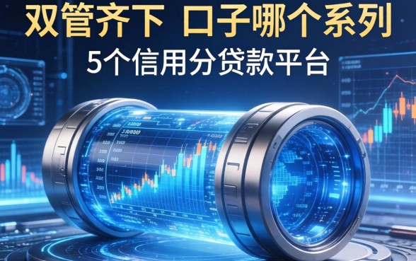 双管齐下口子哪个系列，整合5个信用分贷款平台