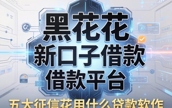 黑花了新口子借款平台，五大征信花用什么贷款软件