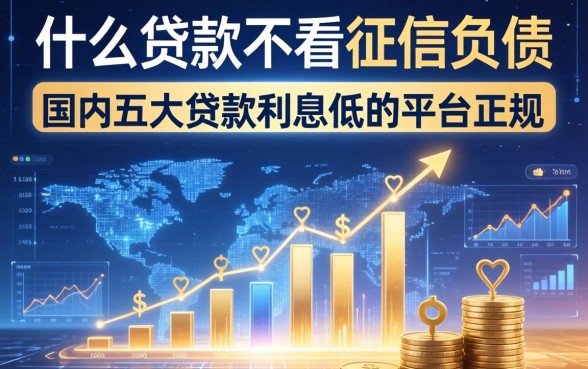 什么贷款不看征信负债，国内五大贷款利息低的平台正规