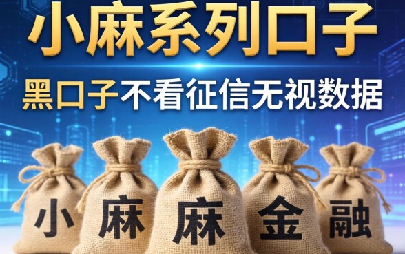 小麻袋系列口子有哪些，汇总五个黑口子不看征信无视大数据