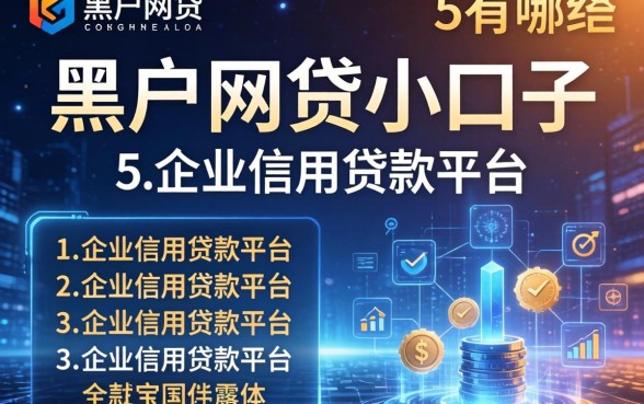 黑户网贷小口子有哪些，总结五个企业信用贷款平台