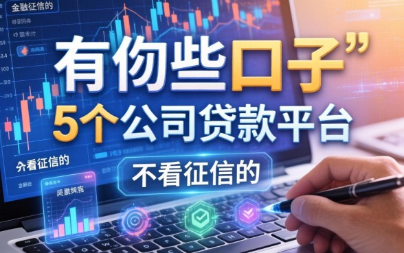 有哪些口子不看征信的，归纳5个公司贷款平台