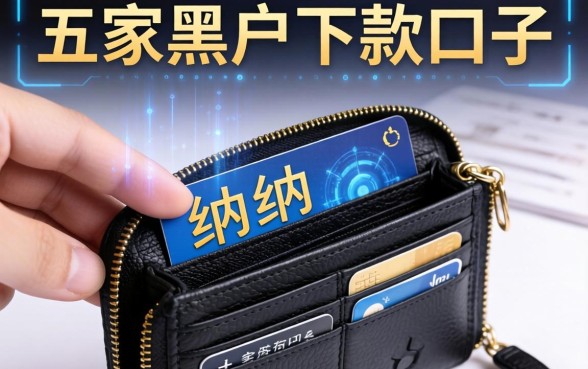 纳纳钱包在哪个口子里，解答五家黑户下款口子