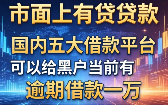 市面上有哪些贷款产品，国内五大借款平台可以给黑户当前有逾期的借款一万