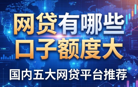 网贷有哪些口子额度大，国内五大网贷平台推荐