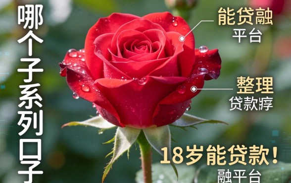 玫瑰花是哪个系列口子，整理五个18岁能贷款的平台