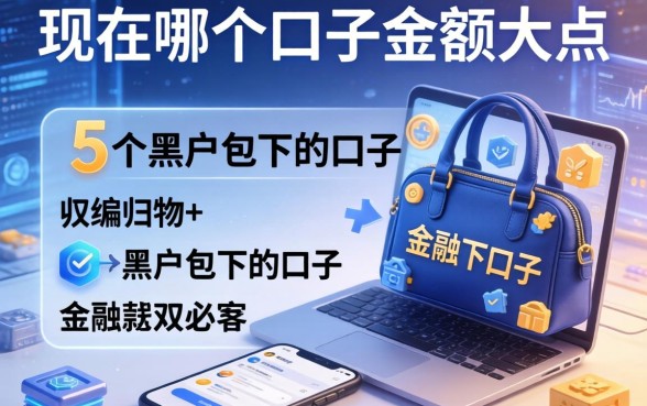 现在哪个口子金额大点，归纳5个黑户包下的口子