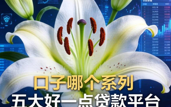 百合花口子是哪个系列，五大好一点的贷款平台