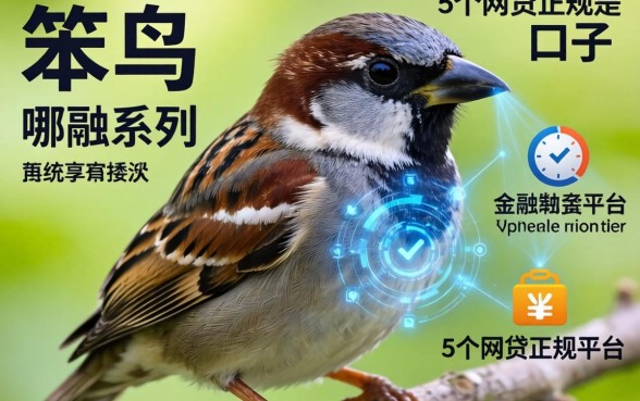 笨鸟是哪个系列的口子，归纳5个网贷正规平台