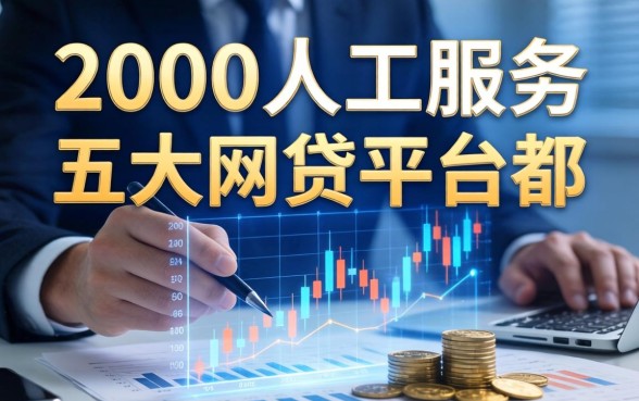 we2000人工服务，五大网贷平台都
