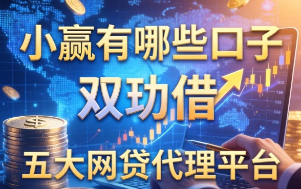 小赢有哪些口子可以借，五大网贷代理平台