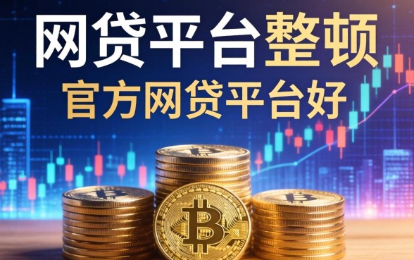 网贷平台整顿最新消息，归纳5个官方网贷平台好