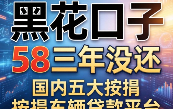 黑花口子58三年没还，国内五大按揭车辆贷款平台