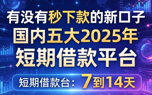 有没有秒下款的新口子，国内五大2025年短期借款平台,7到14天