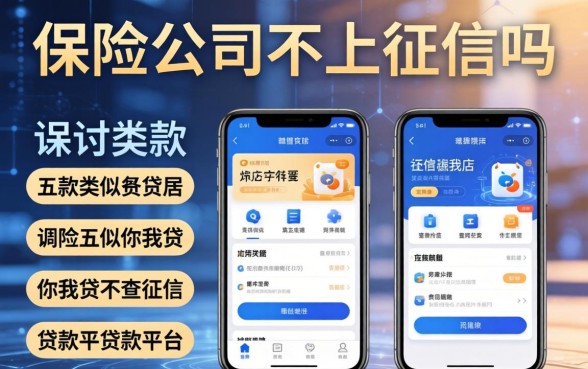 保险公司不上征信的吗，探讨五款类似你我贷不查征信的贷款平台