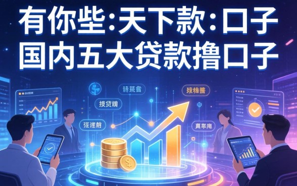 有哪些当天下款的口子，国内五大贷款撸口子